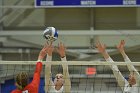 Wheaton Women's Volleyball  Wheaton Women's Volleyball vs Bridgewater State University. : Wheaton, Volleyball, BSU, Bridgewater State College